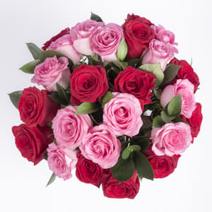 Special Hand Bunch of Pink n Red Roses